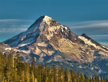 Washington Bus Rental