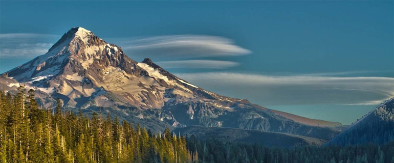 Washington Bus Rentals