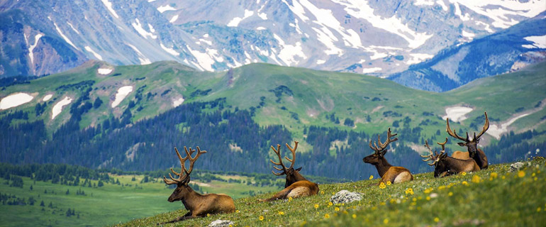 Colorado Bus Rentals